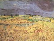 Vincent Van Gogh, The Fields (nn04)